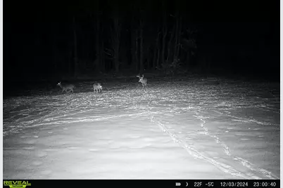 78720 County Road 376, Coloma, MI 49038 - Photo 71