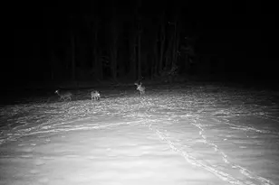 78720 Co Rd 376, Coloma, MI 49038 - Photo 71