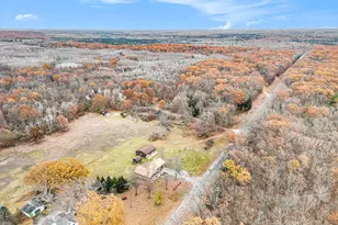 3353 Dilling Rd, Brethren, MI 49619 - Photo 41