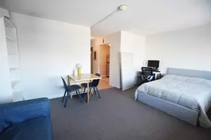 555 E William St, Ann Arbor, MI 48104 - Photo 5