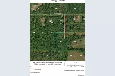 998 E Monroe Street, White Cloud, MI 49349 - Photo 3