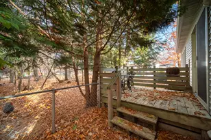 13200 Hopkins Forest Dr, Bear Lake, MI 49614 - Photo 41