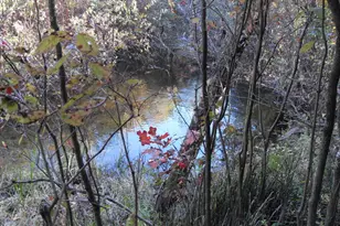 4107 E White River Dr, Hesperia, MI 49421 - Photo 11