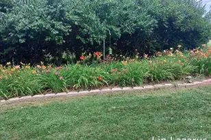 12675 Harder Rd, Three Rivers, MI 49093 - Photo 47