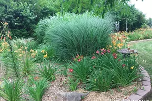 12675 Harder Rd, Three Rivers, MI 49093 - Photo 55