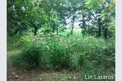 12675 Harder Road, Three Rivers, MI 49093 - Photo 61