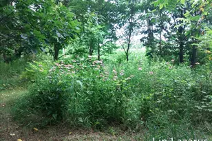 12675 Harder Rd, Three Rivers, MI 49093 - Photo 61