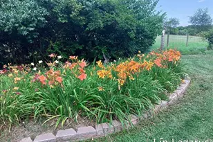 12675 Harder Rd, Three Rivers, MI 49093 - Photo 51