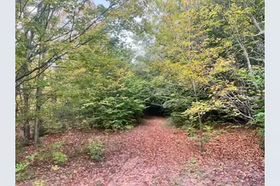 Vl55 Nine Mile Road, Kaleva, MI 49645 - Photo 27