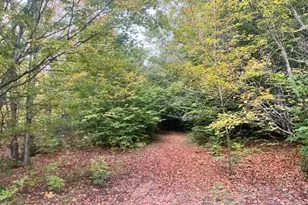 Vl55 Nine Mile Rd, Kaleva, MI 49645 - Photo 27