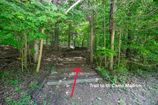 46 Camp Madron Rd, Buchanan, MI 49107 - Photo 47