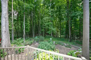 46 Camp Madron Rd, Buchanan, MI 49107 - Photo 29