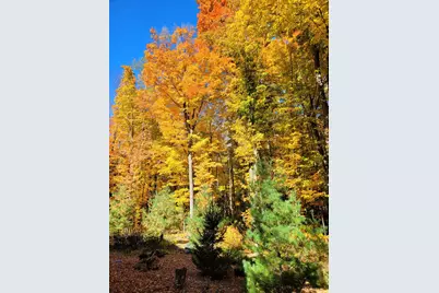 46 Camp Madron Road #46, Buchanan, MI 49107 - Photo 49