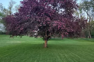 12960 Sonoma Rd, Battle Creek, MI 49015 - Photo 27