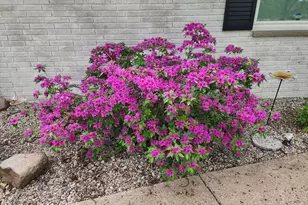 12960 Sonoma Rd, Battle Creek, MI 49015 - Photo 25