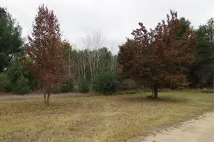 651 N Michigan Ave, Manton, MI 49663 - Photo 17