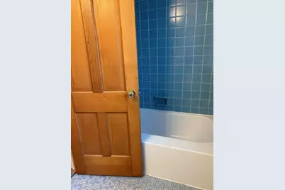 815 Hewett Drive, Ann Arbor, MI 48103 - Photo 11