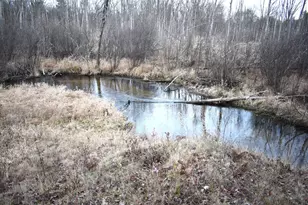 646 W 3 Mile Rd, Luther, MI 49656 - Photo 1