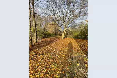 9167 Grandmont Avenue, Detroit, MI 48228 - Photo 5