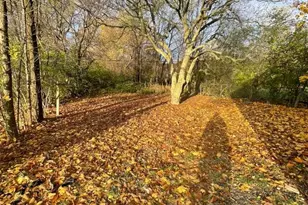 9167 Grandmont Ave, Detroit, MI 48228 - Photo 5