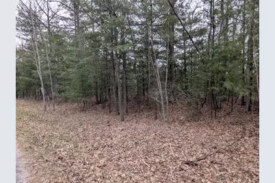 V/L 0 West Crooked Lake Rd, Lake City, MI 49651 - Photo 1