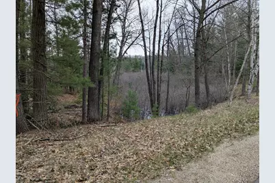 V/L 0 West Crooked Lake Rd, Lake City, MI 49651 - Photo 3