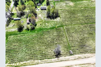 59091 Benny Ct #Parcel 5, Grand Junction, MI 49056 - Photo 7