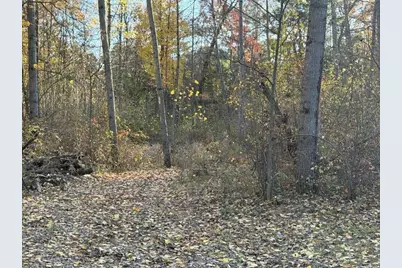 9807 N Maple Hill Road, Howard City, MI 49329 - Photo 39