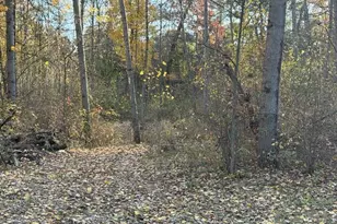 9807 N Maple Hill Rd, Howard City, MI 49329 - Photo 39