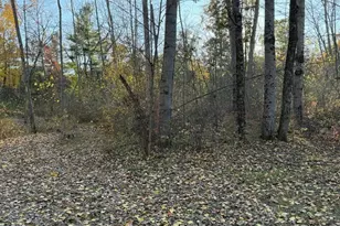 9807 N Maple Hill Rd, Howard City, MI 49329 - Photo 41