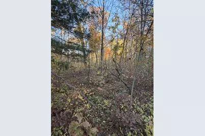 9807 N Maple Hill Road, Howard City, MI 49329 - Photo 41