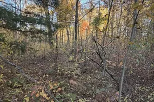 9807 N Maple Hill Rd, Howard City, MI 49329 - Photo 41