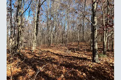 10699 Mystic Heights Trail, Mattawan, MI 49071 - Photo 7