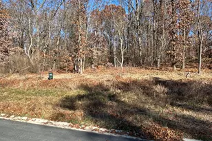 10699 Mystic Hts Trl, Mattawan, MI 49071 - Photo 3