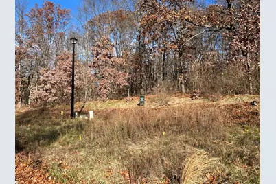 10711 Mystic Heights Trail, Mattawan, MI 49071 - Photo 3