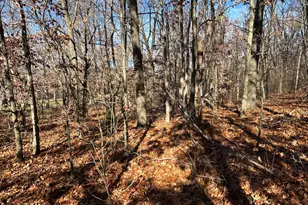 10711 Mystic Hts Trl, Mattawan, MI 49071 - Photo 7