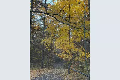 V/L Maple Hill Road #Parcel B, Howard City, MI 49329 - Photo 7