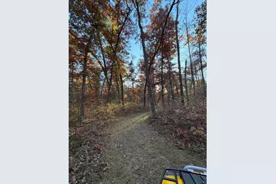 V/L Maple Hill Road #Parcel B, Howard City, MI 49329 - Photo 3