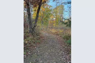 V/L Maple Hill Road #Parcel B, Howard City, MI 49329 - Photo 9
