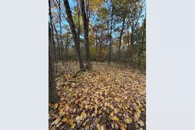 V/L Maple Hill Road #Parcel B, Howard City, MI 49329 - Photo 5