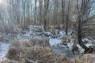 2233 E Marrison Rd, Custer, MI 49405 - Photo 21