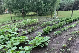 13625 Potter Rd, Bear Lake, MI 49614 - Photo 15