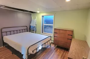 13625 Potter Rd, Bear Lake, MI 49614 - Photo 9