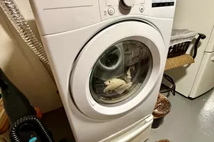 22727 Renford St, Novi, MI 48375 - Photo 39