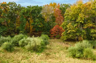 14086 Kane Rd, Plainwell, MI 49080 - Photo 51
