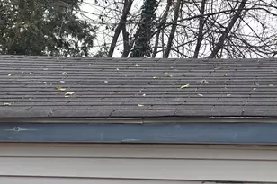 15889 Tacoma St, Detroit, MI 48205 - Photo 27