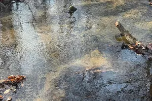 3893 E Yonker Rd, Hesperia, MI 49421 - Photo 25