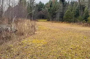 7104 M-117, Engadine, MI 49827 - Photo 23