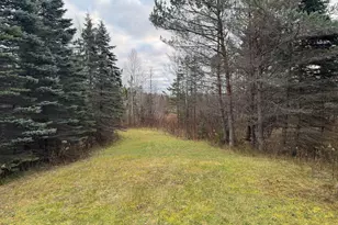 7104 M-117, Engadine, MI 49827 - Photo 19
