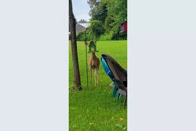 14888 S State Road, Perry, MI 48872 - Photo 9